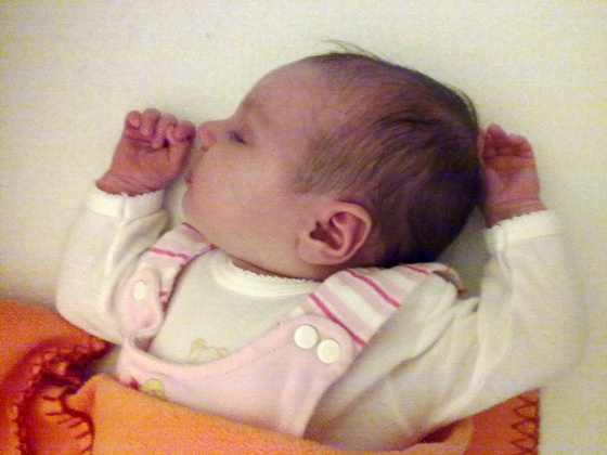 czikoramilla: 20090921460