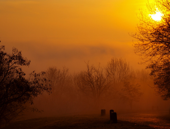 Kontiki: Reggeli köd