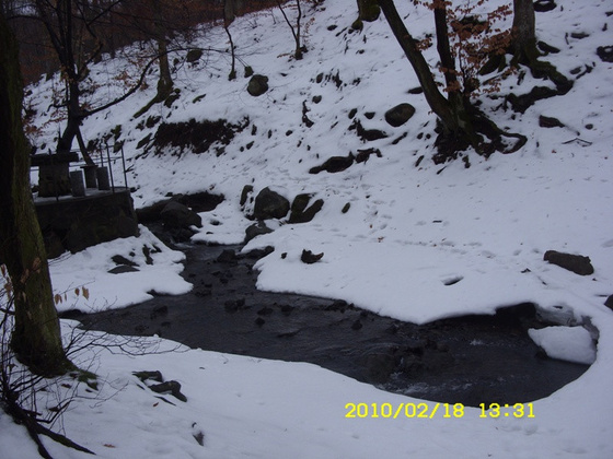 6891061_b710d1f0843bf387cf4effaf66300189_m.jpg