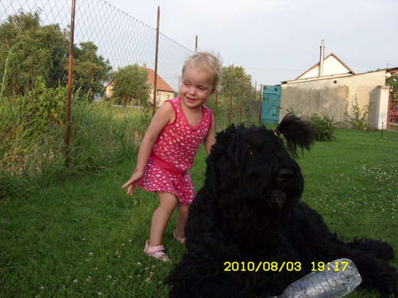 8812597_54edf39f33dc217ec516f18862dc434f_m.jpg