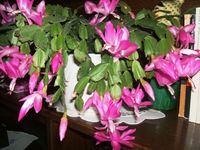 DSCF0945