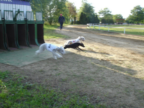 10409265_7f8732dde693507da4ca175e186c2a1e_m.jpg