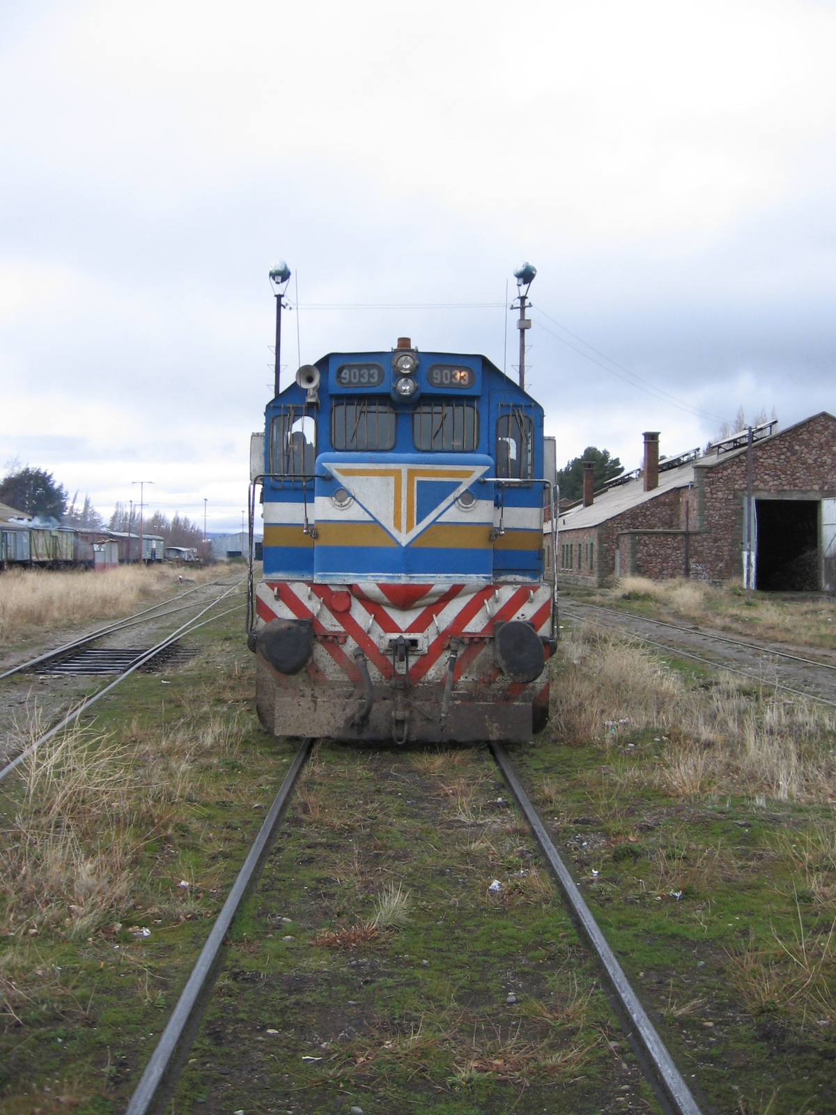 Tren Patagonico 9033 1