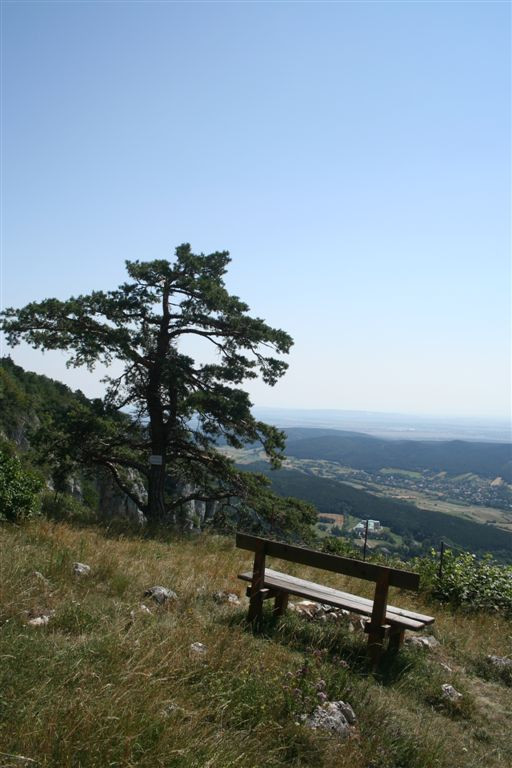 Hohe Wand (1)