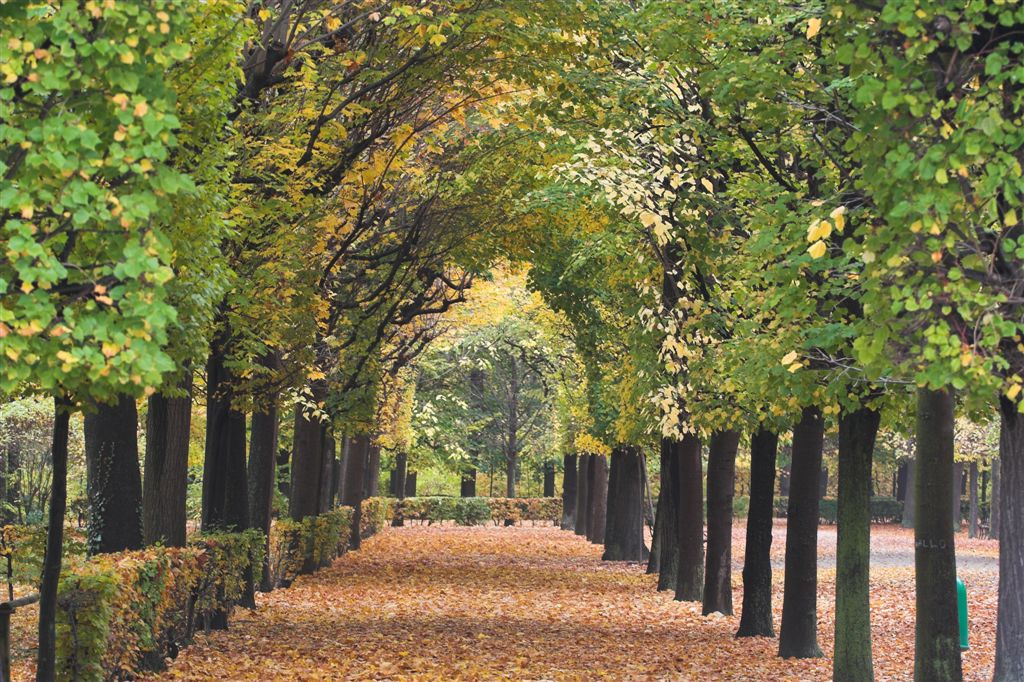 Schönbrunn (13)