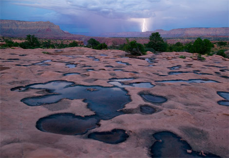 water-puddle-nichols-1048902-ga