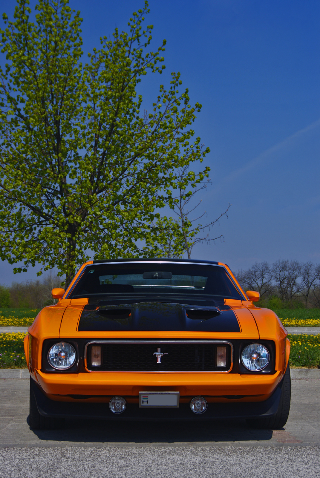 Ford Mustang Mach 1