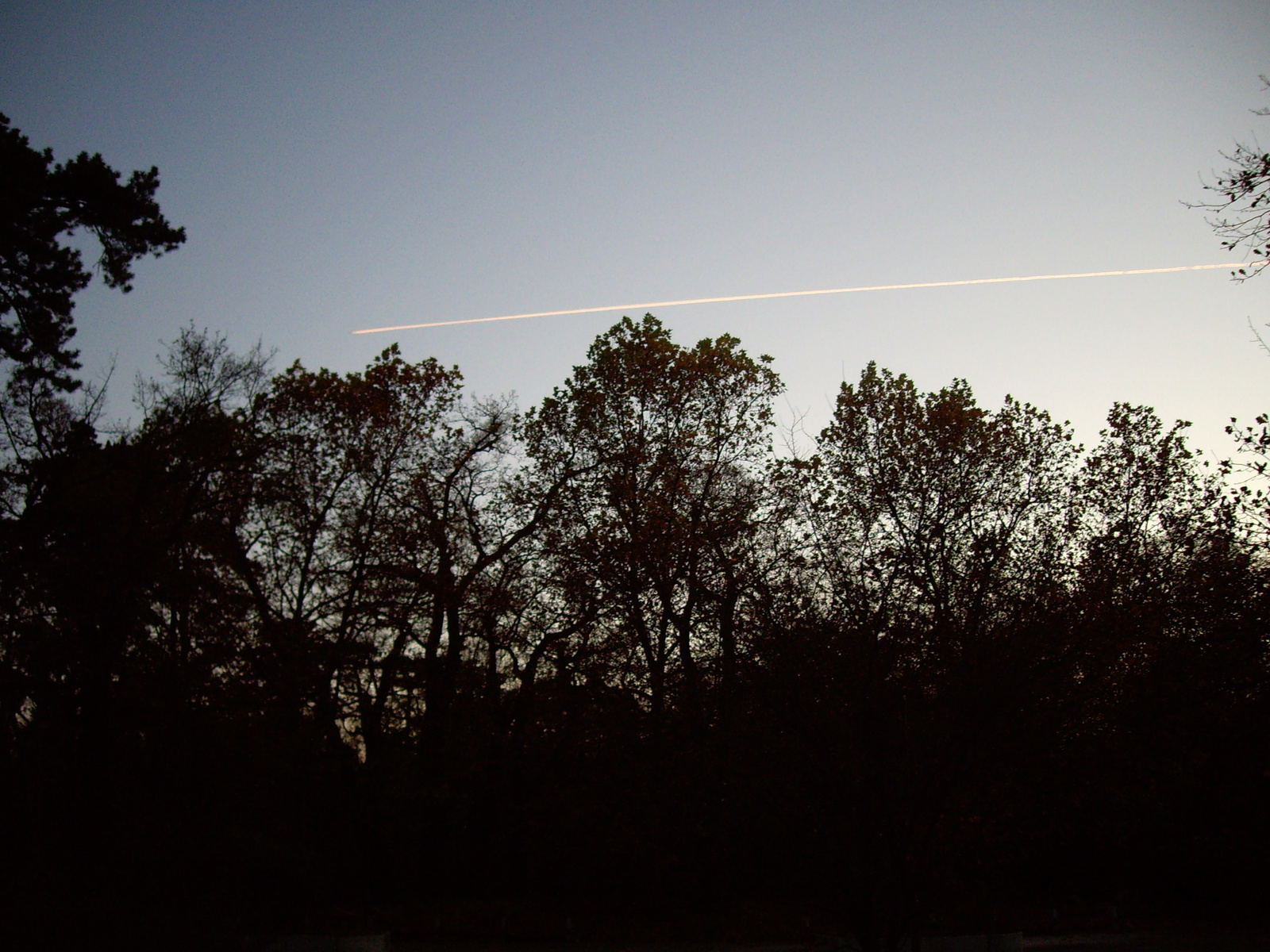 Alkonyati égboltot átszelő repülő