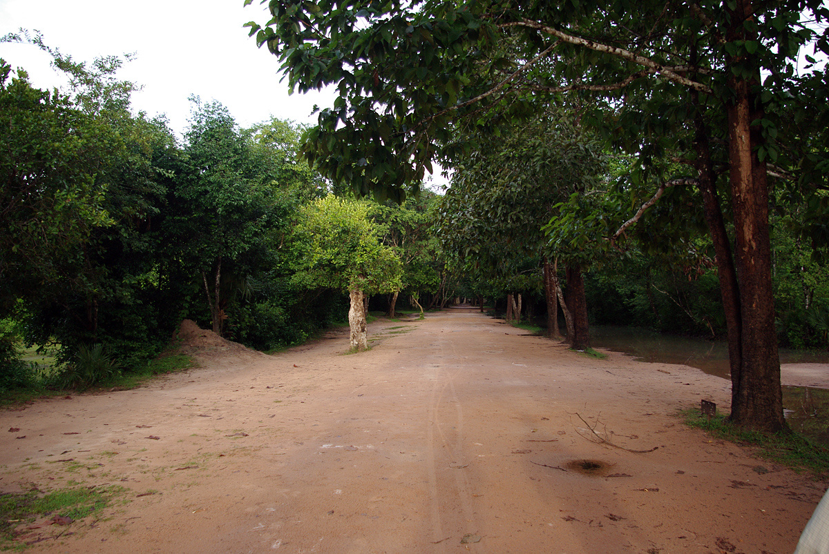 ta phrom felé