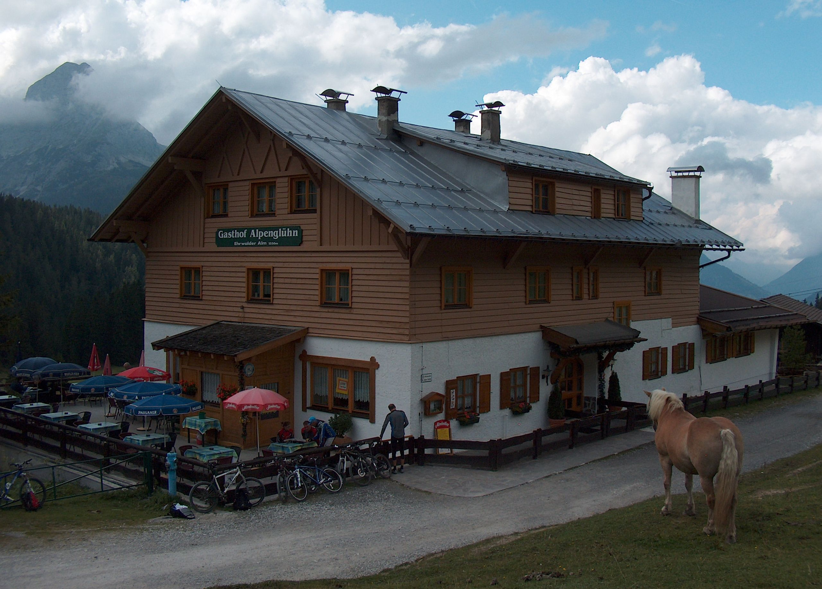 200909 Zugspitze 47 Ehrwalder Alm