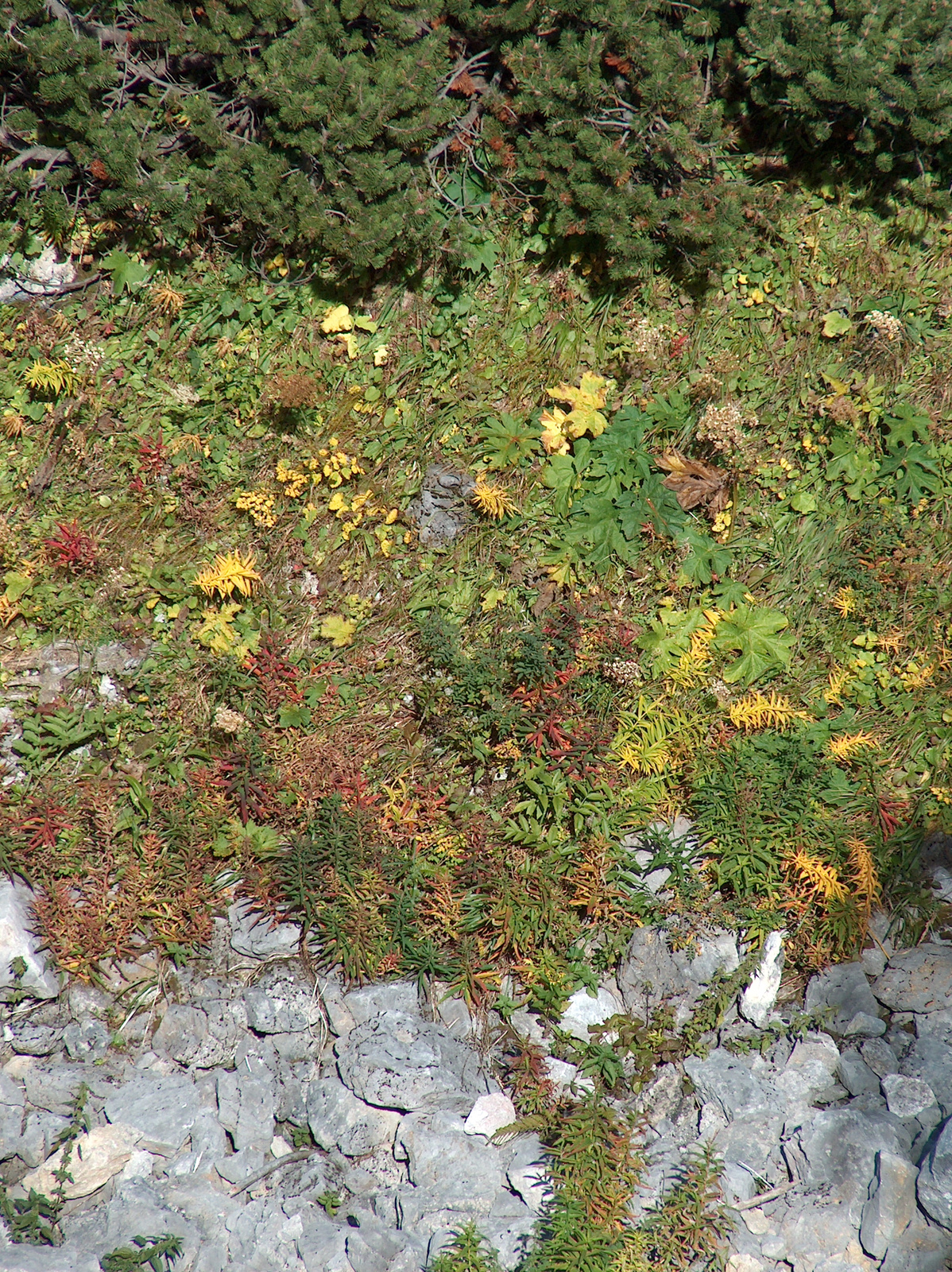 200909 Zugspitze 147