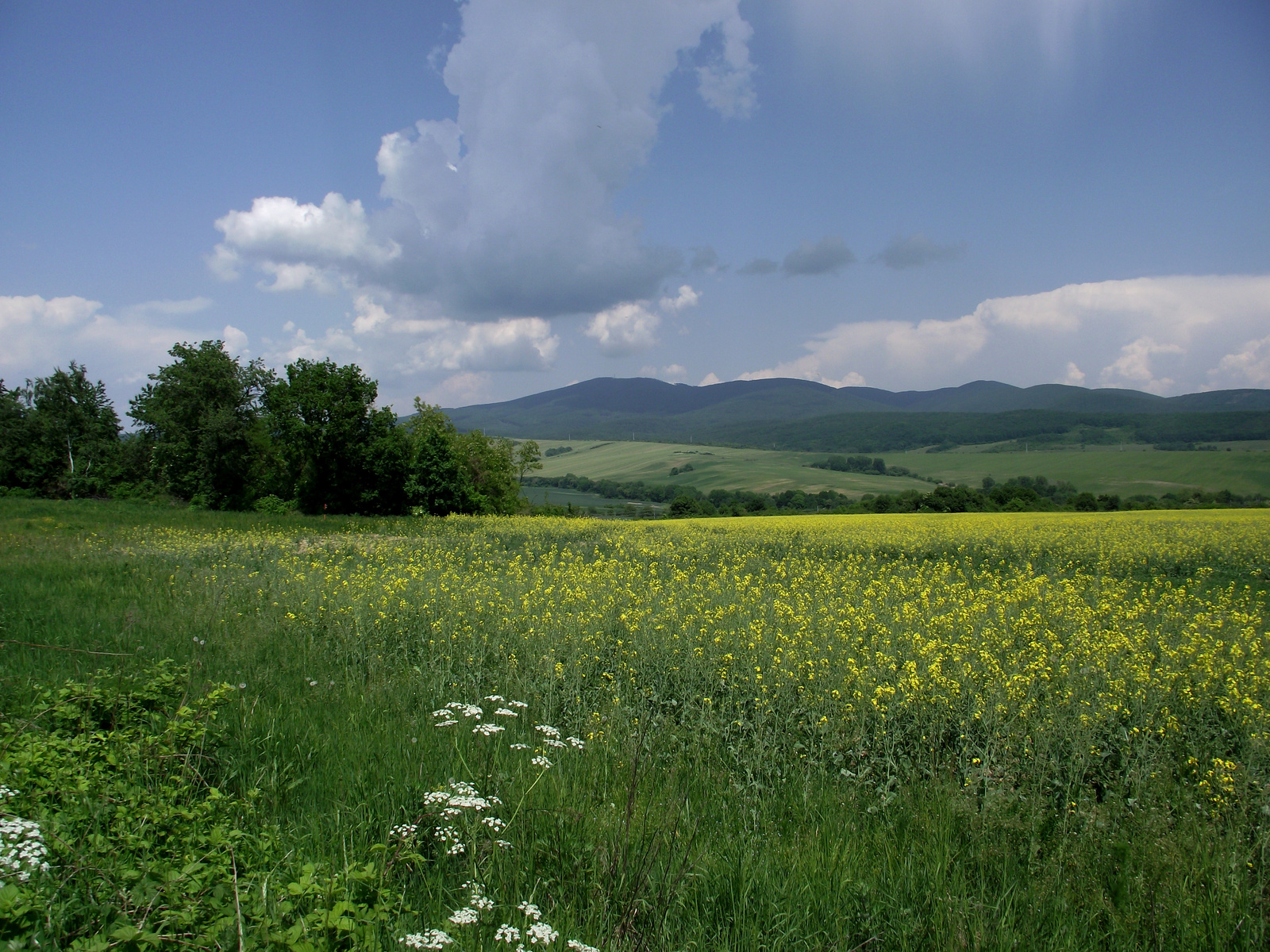 Zemplén 2011 0521 22 (51)