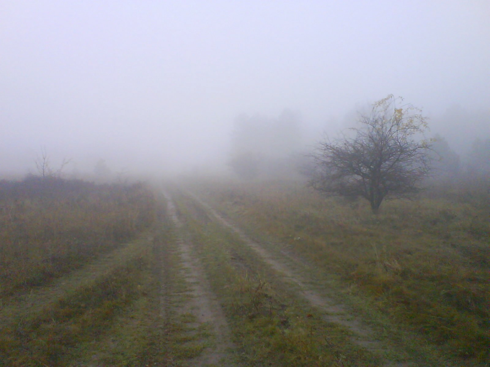 10.14 a fensíkon ilyen köd volt