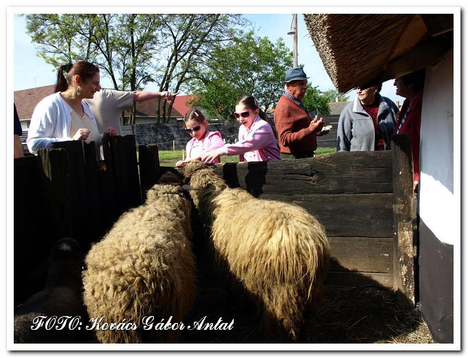 Hagyományőrző nap