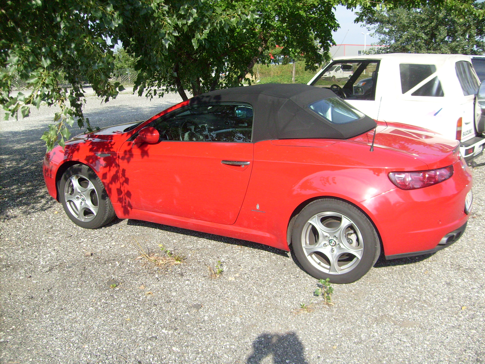 alfa romeo spider v6