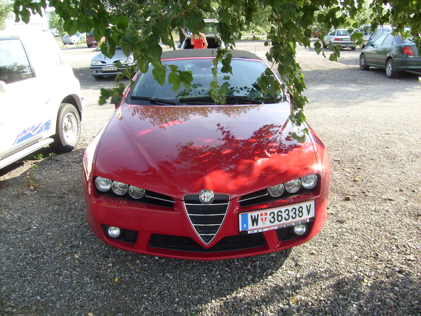 alfa romeo spider v6