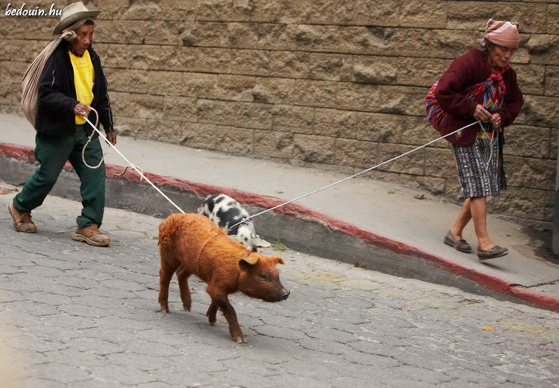 Market day - Chichicastenango, Guatemala, 2008