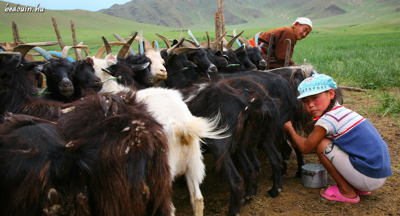 Never too young - Mongolia, 2007