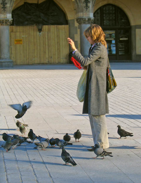 Girl feeding pigeons