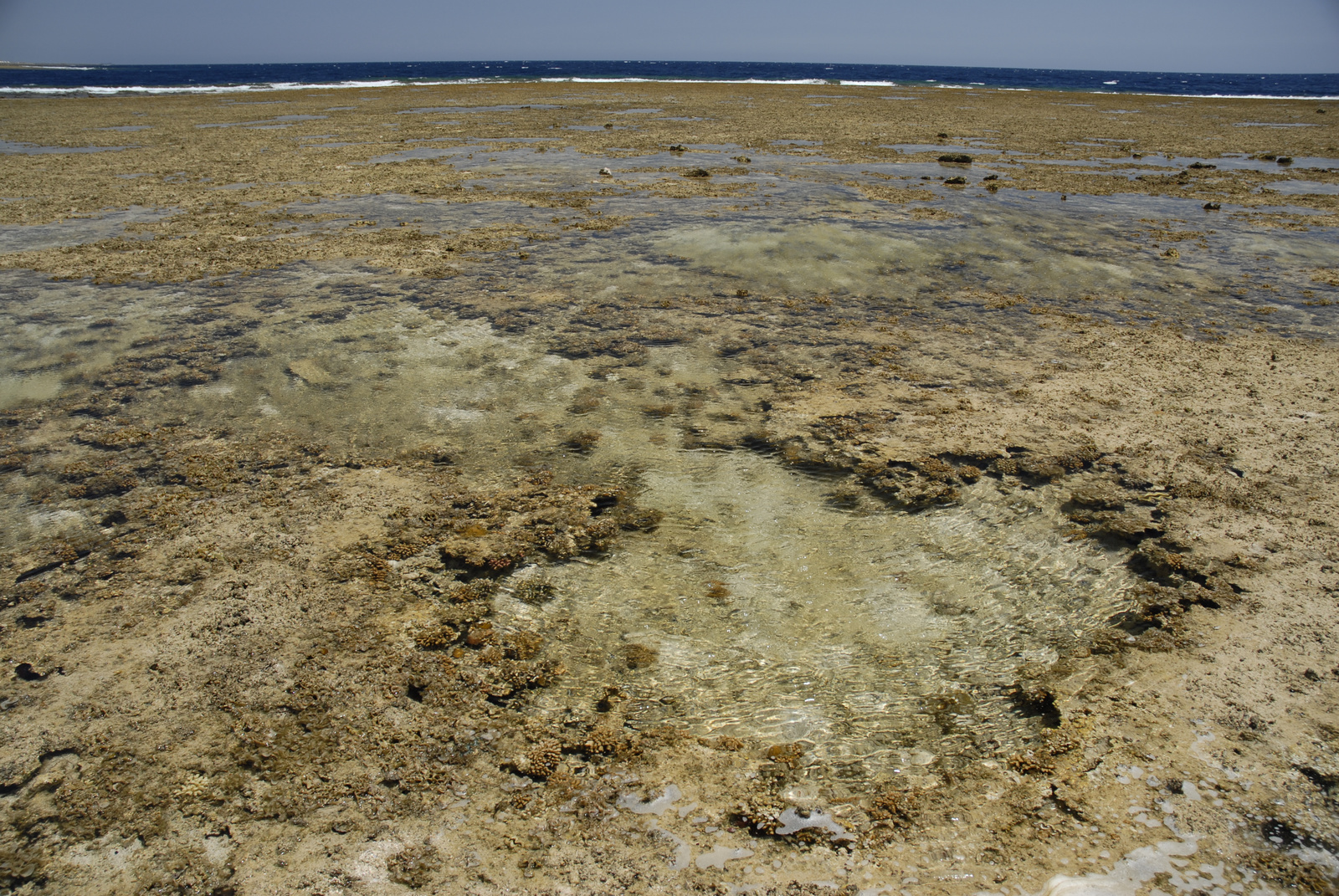 Marsa Alam (293)