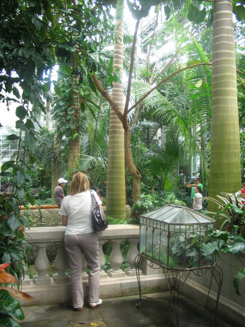 Botanic Gardens