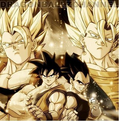 gokuvegeta