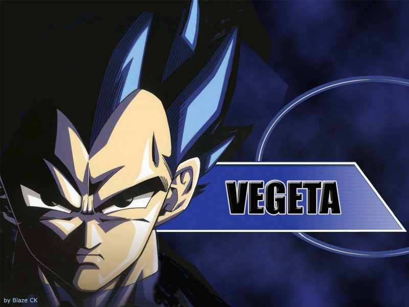 Vegeta by BlazeCK PL