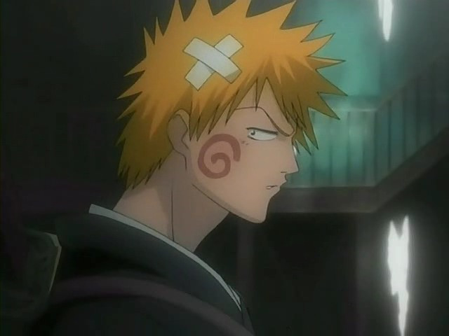 bleach ichigo0149