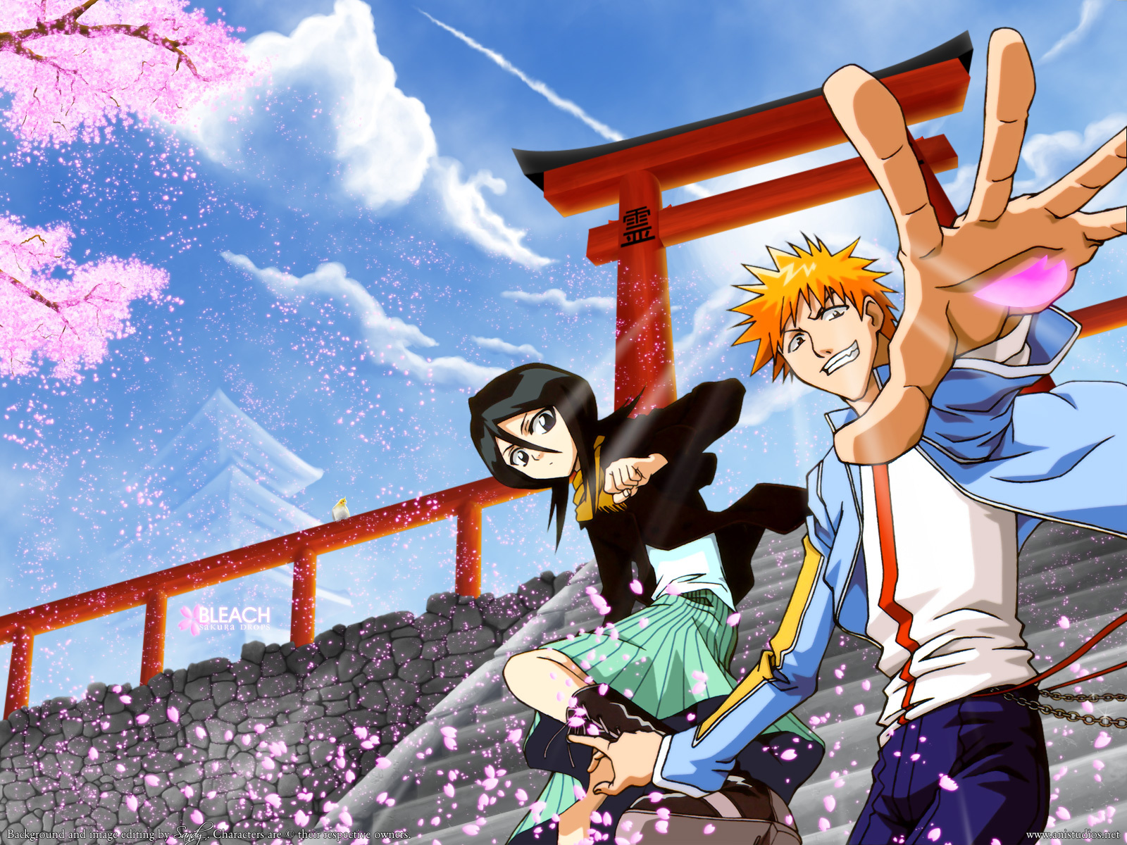 Bleach-Wallpaper08