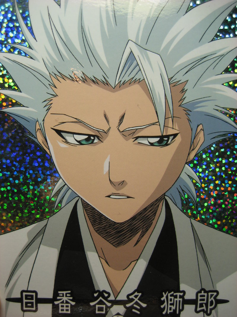 Hitsugaya Toushirou by Charmape