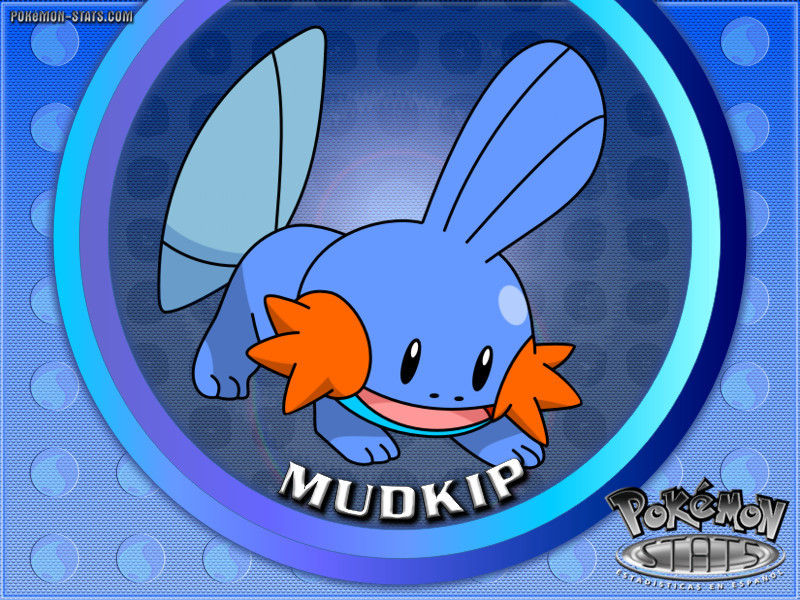 mudkip