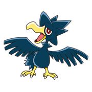 Murkrow47