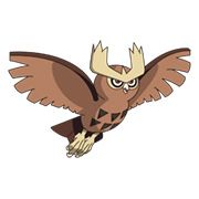 Noctowl13