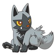 Poochyena110