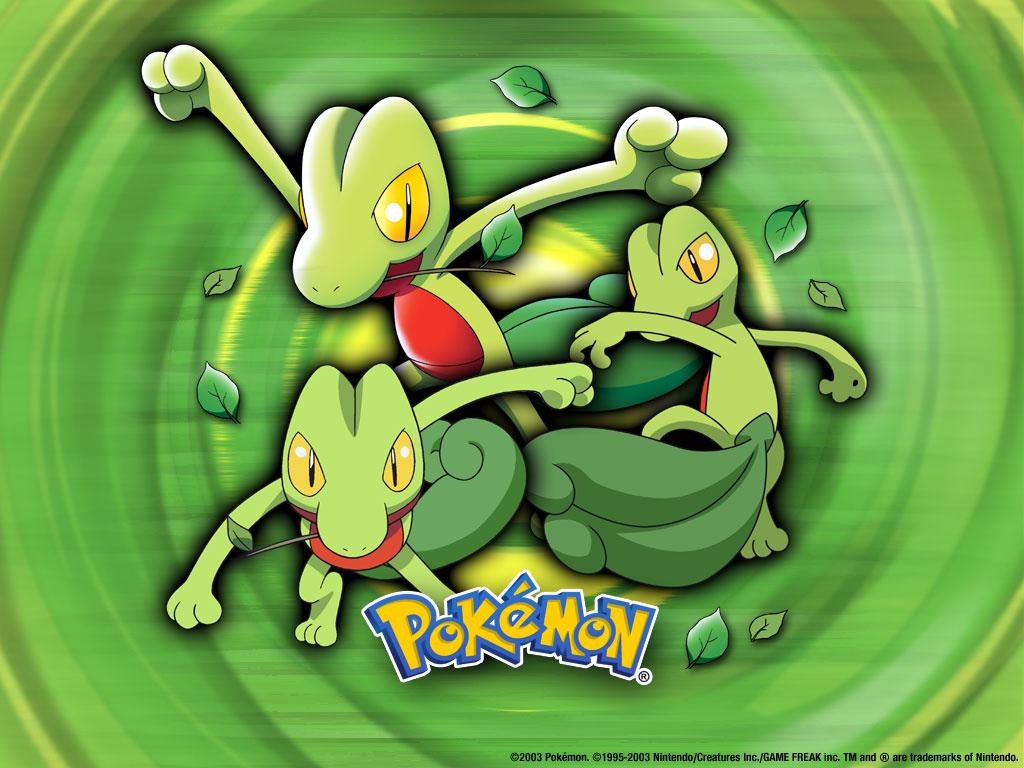 treecko 1024x768