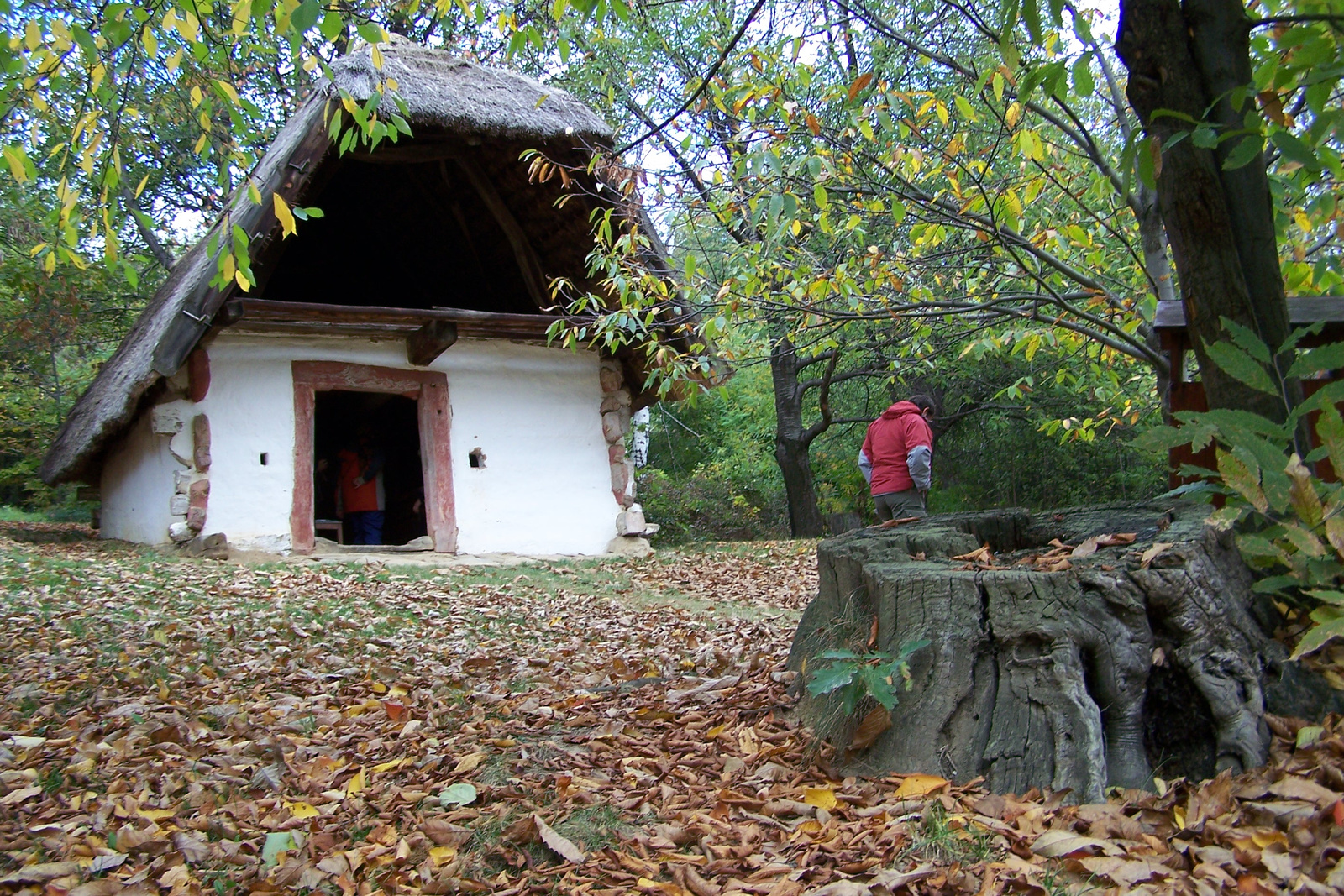 Kőszegi-hg 08.10.23 183