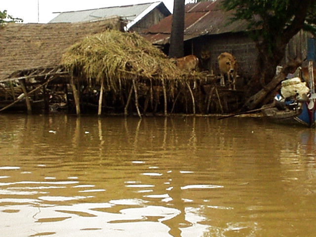 Mekong