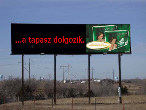 tapasz dolgozik