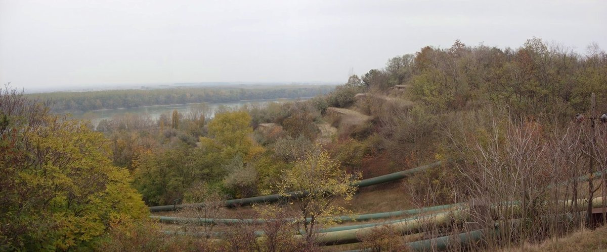 teraszos löszfal,őszi színek,Duna