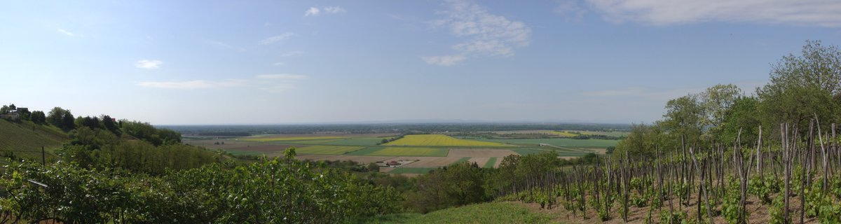 Csörnyeföldi panoráma