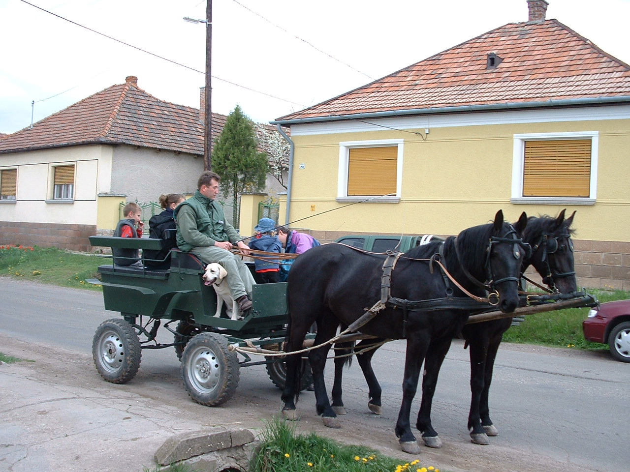 Kettő ló