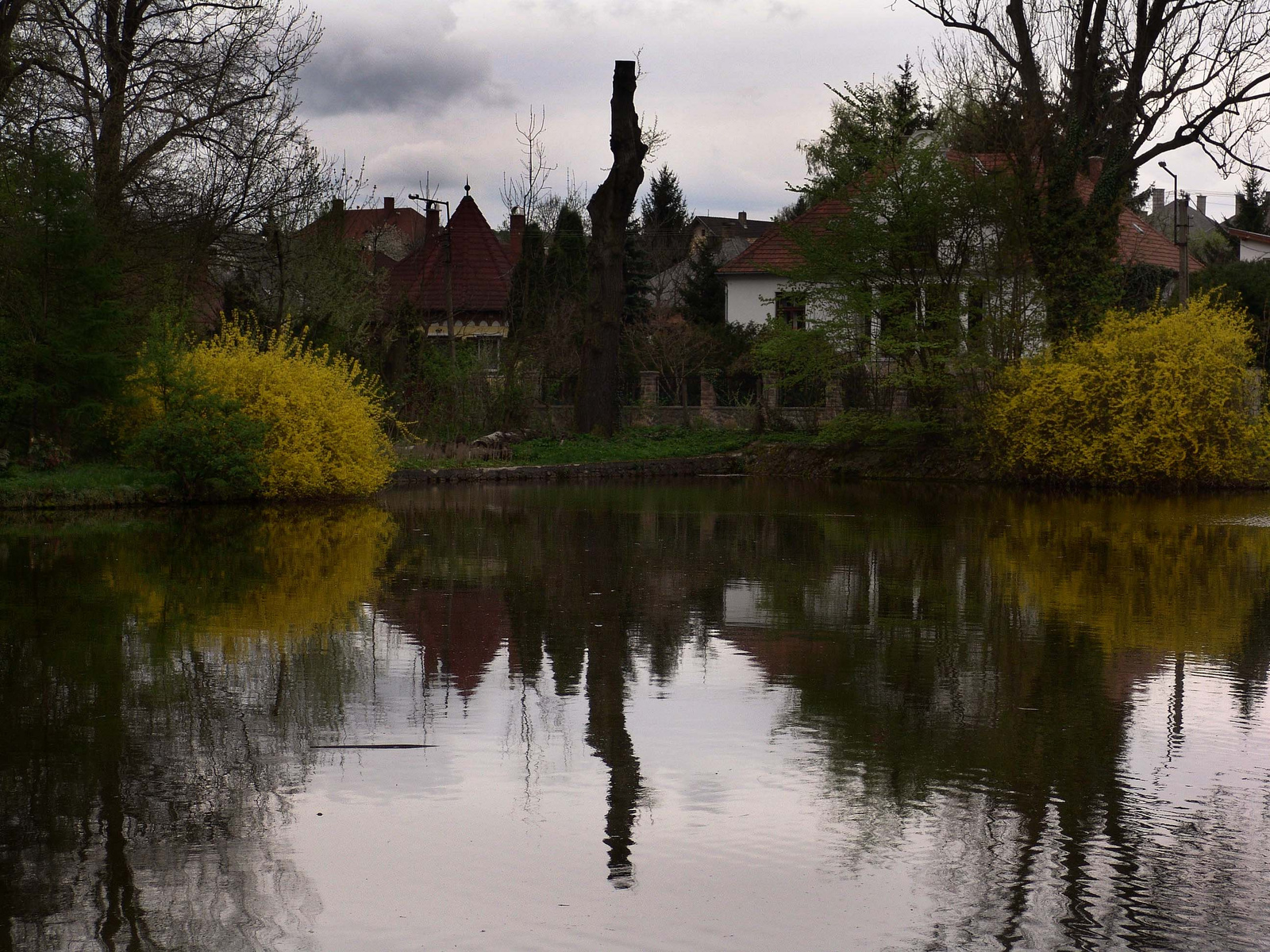 görbetükör