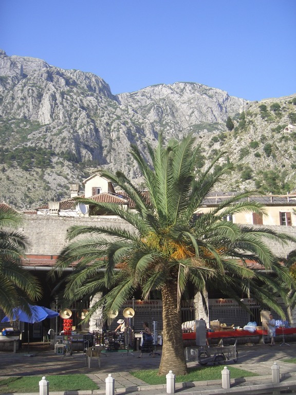 Kotor