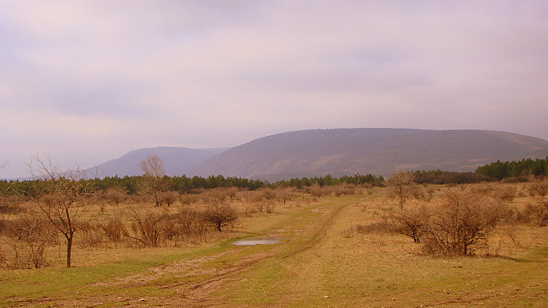 fotók 2009.03.30. 157