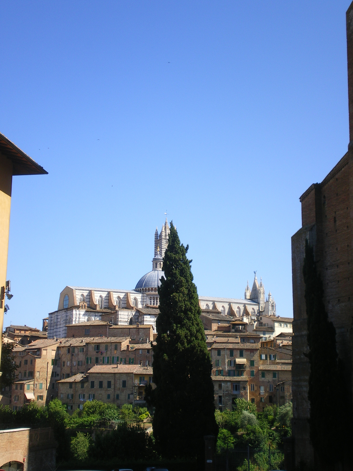 Siena