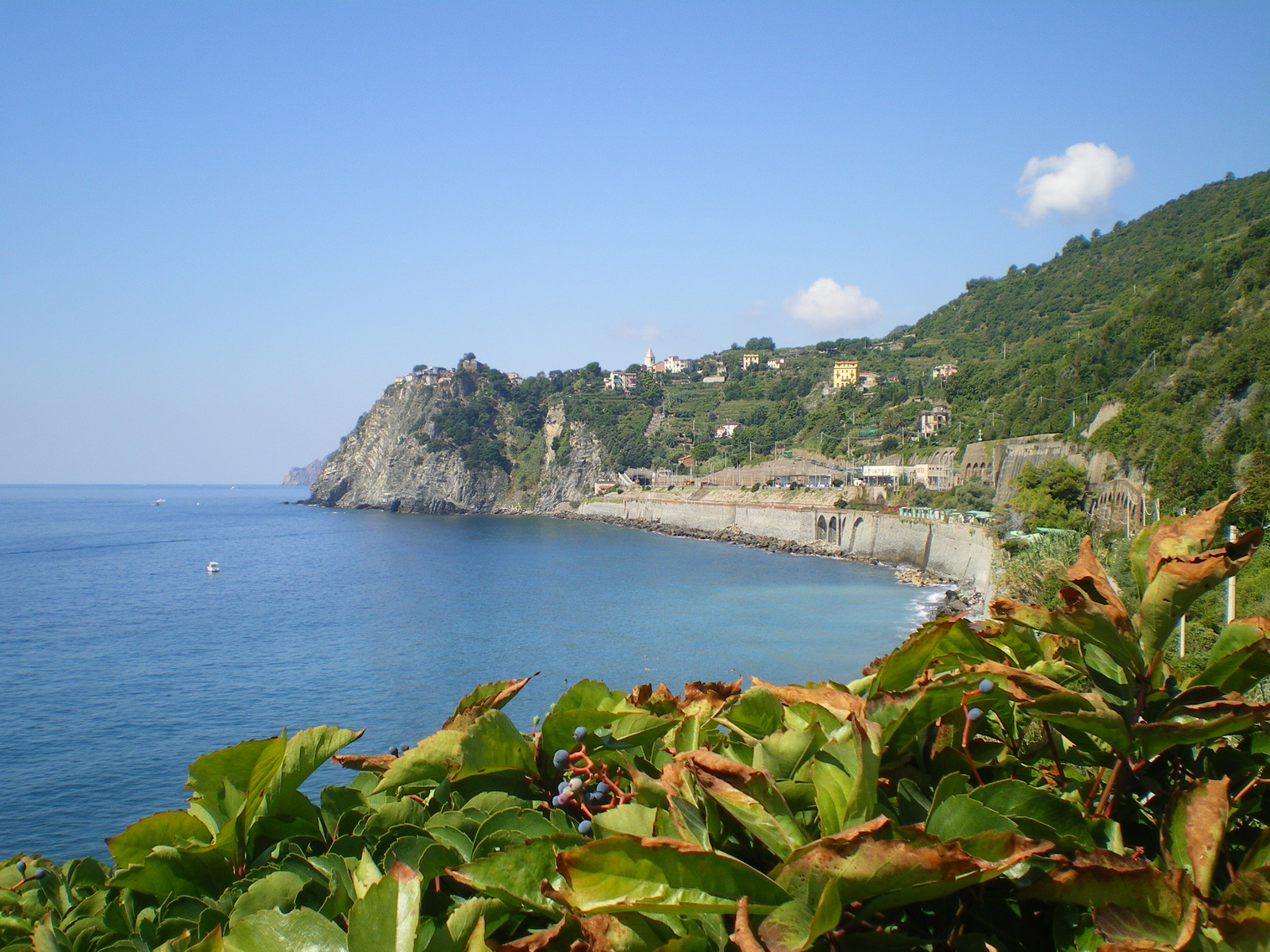 Corniglia felé