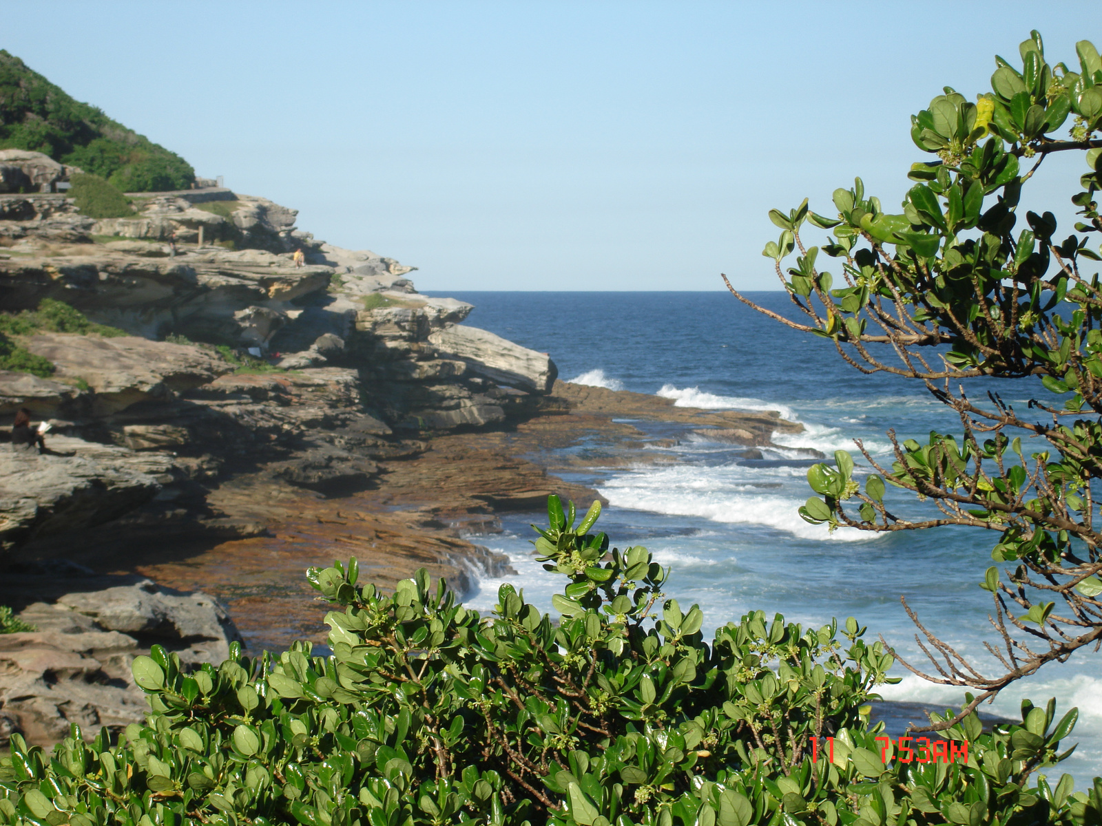 Tamarama