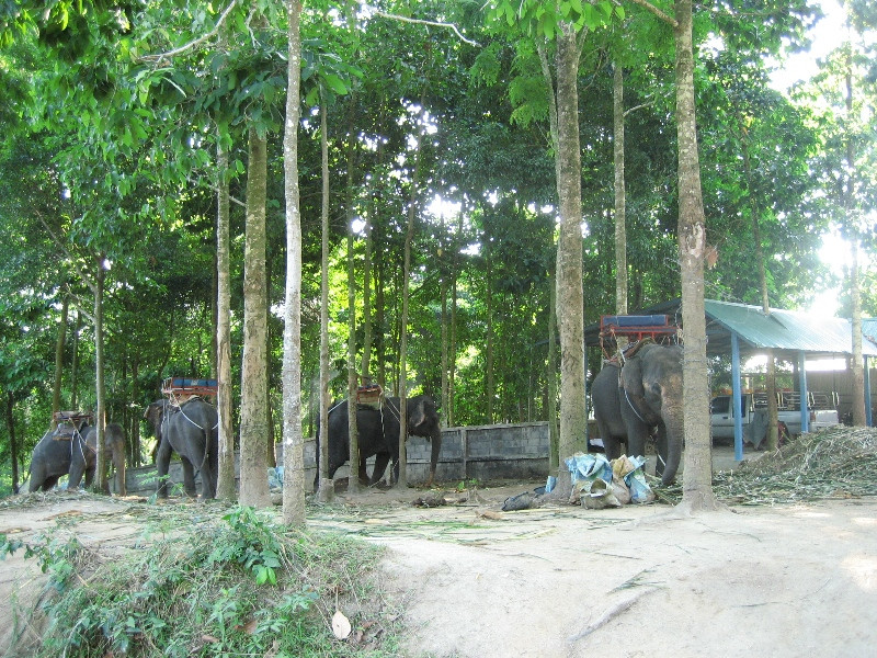 Koh-Samui