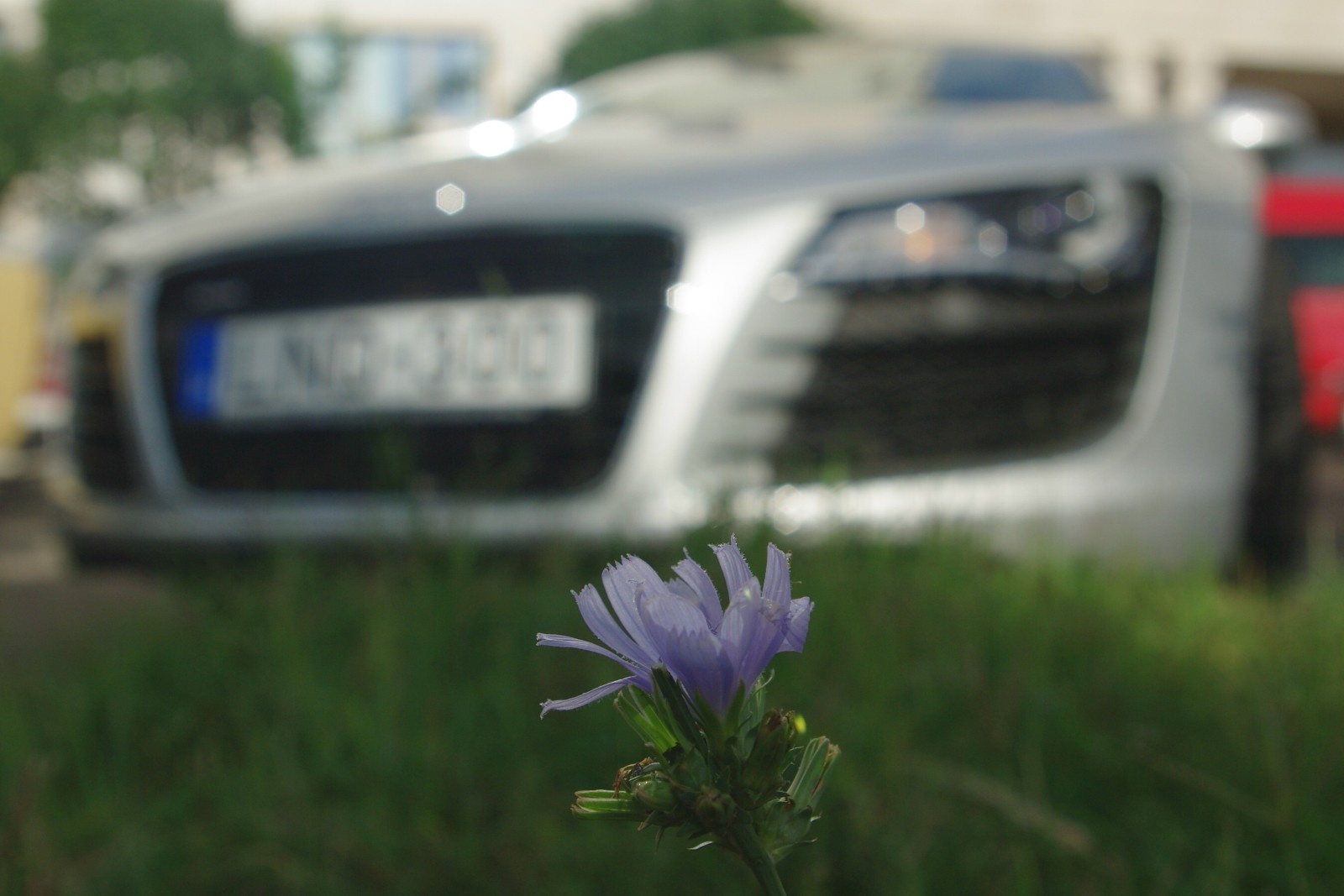 Audi R8 (13)