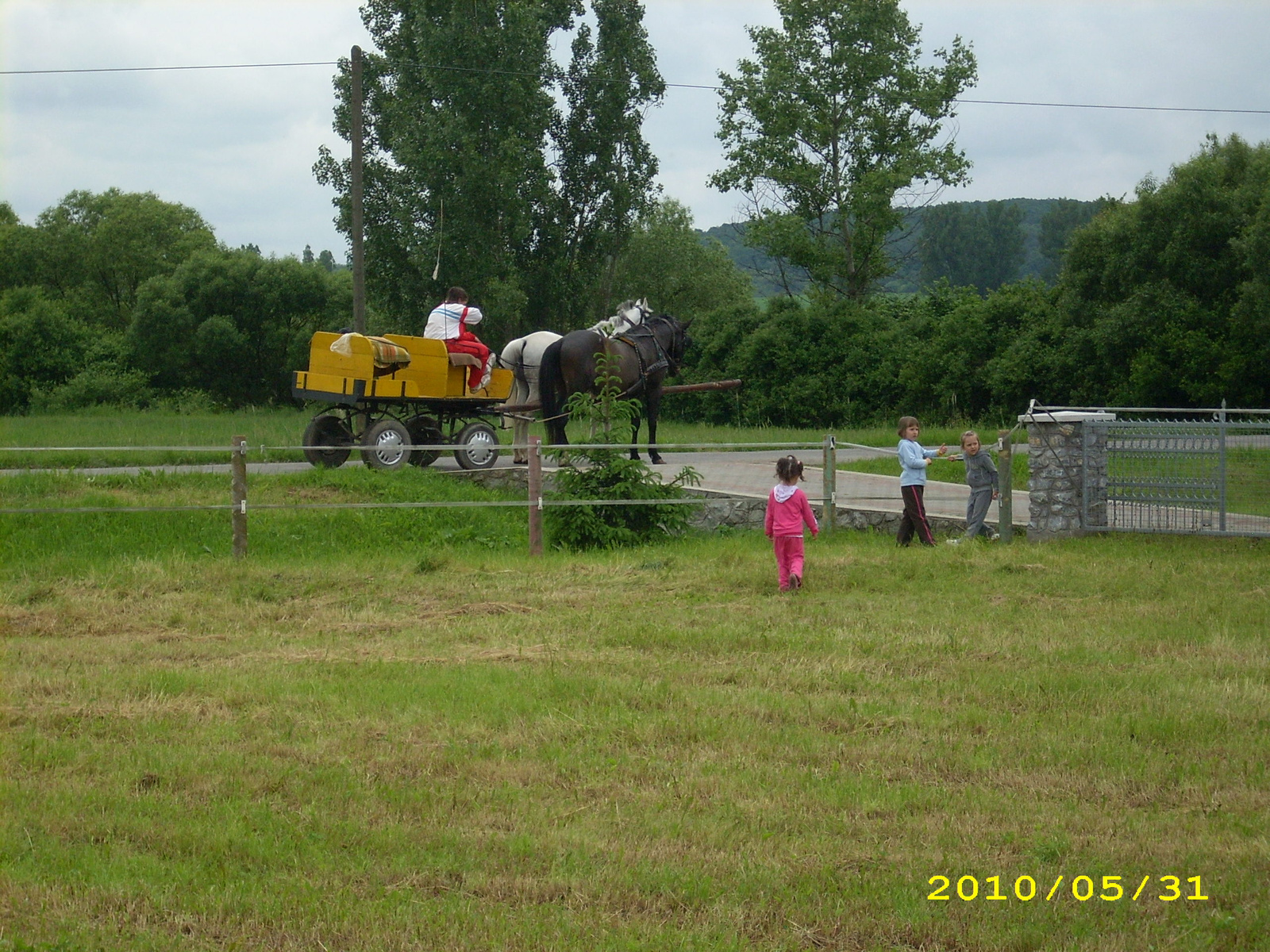 2010 Kelecsény 126